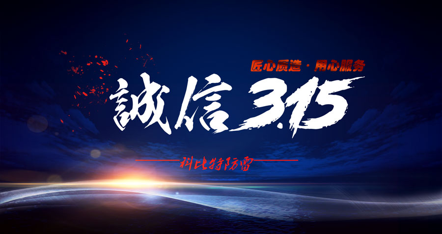 匠心质造、用心服务，乐动手机版防雷天天315