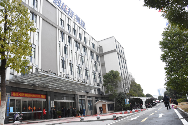 虎虎生威 | 乐动手机版防雷新春开工大吉